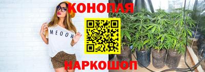 хмурый Шелехов
