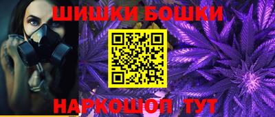 хмурый Шелехов