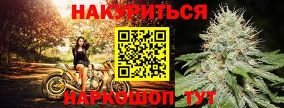 хмурый Шелехов