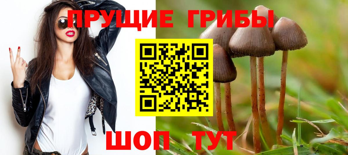купить   Вход с VPN  Егорьевск  Галлюциногенные грибы Psilocybine cubensis  Псилоцибиновые грибы мухоморы 